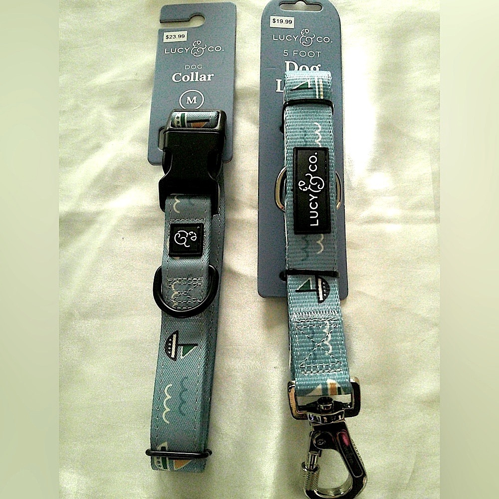 Lucy & Co. Sail Collar and Leash Set (M)
